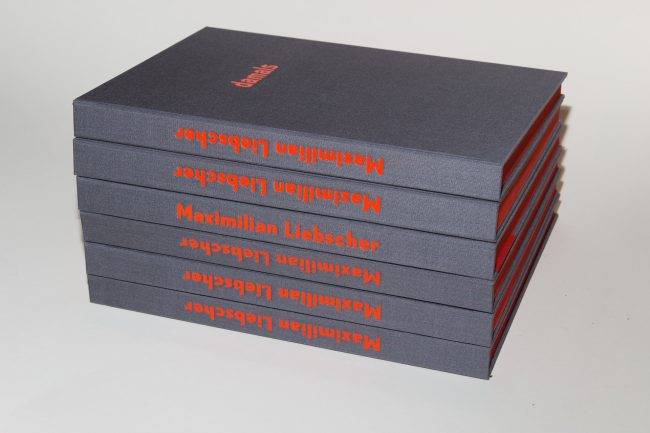 max-liebscher_dresden-ar-thesis_binding-stitching